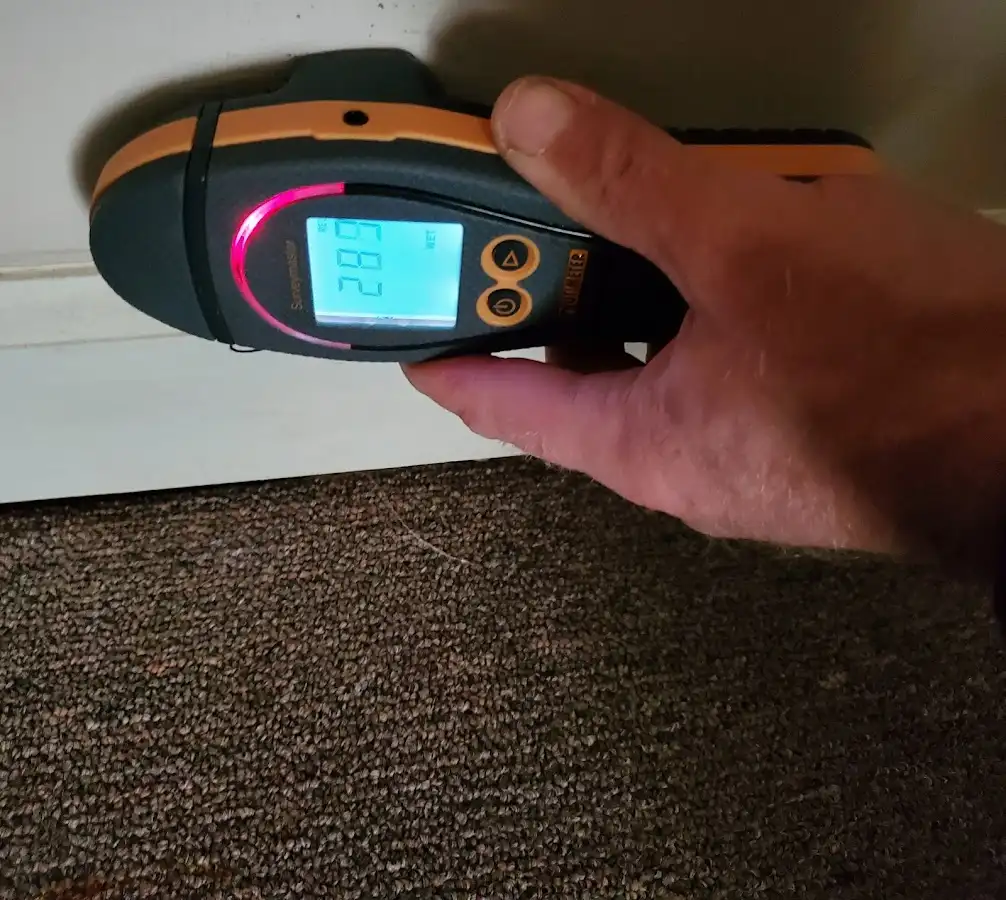 Moisture detection at baseboard during Sewage Cleanup & Sanitation in Avon